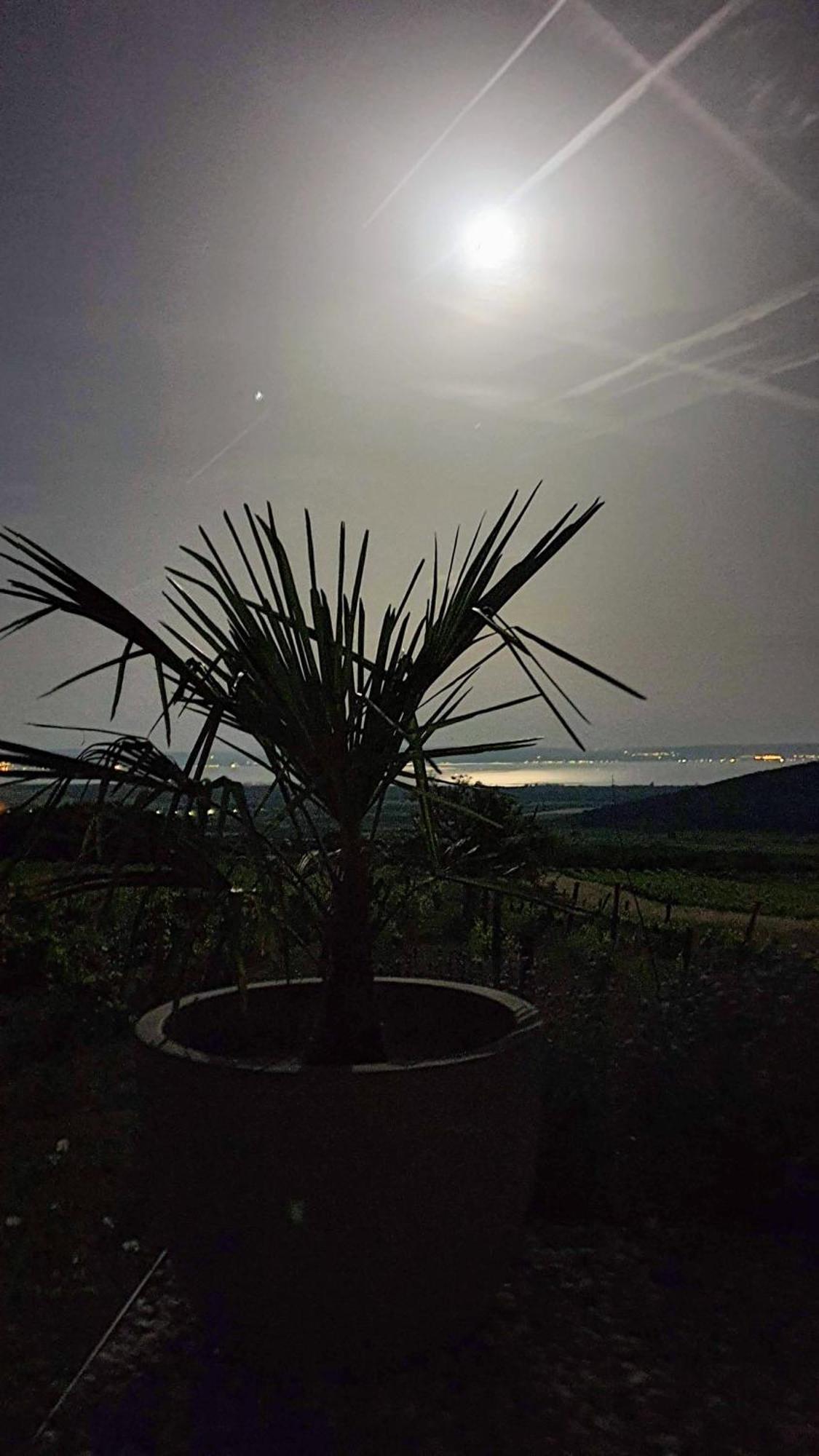 Panorama, Balaton Vila Dörgicse Exterior foto